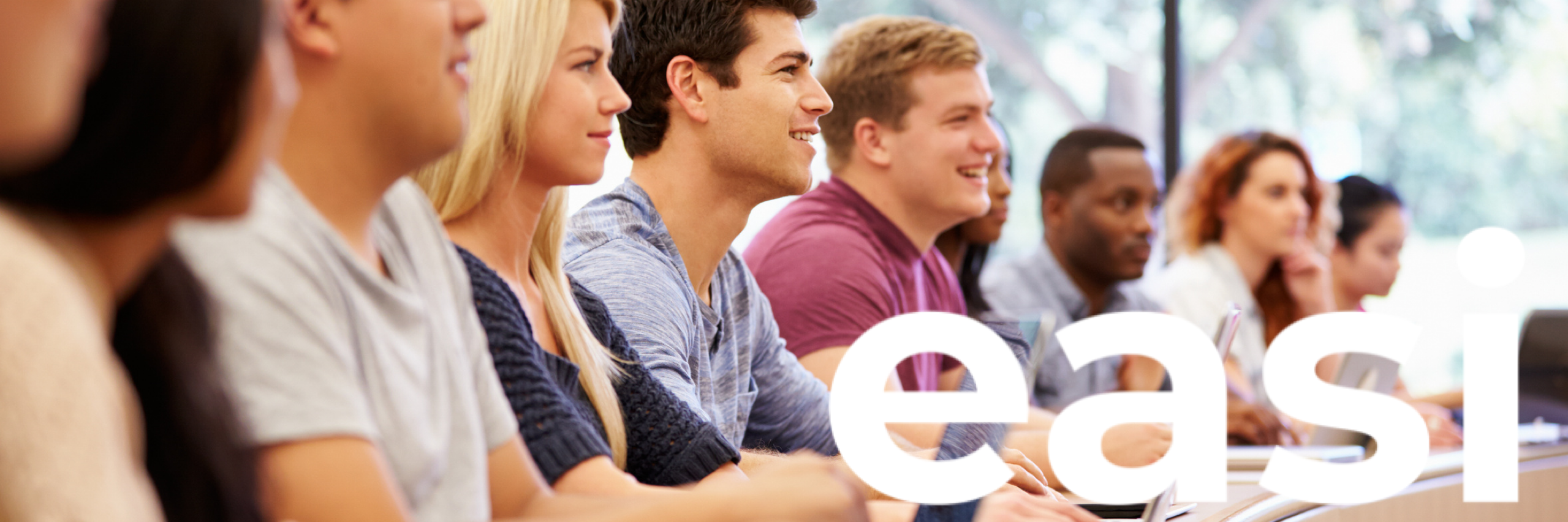 The Roots of Maaia: From Business Solutions to AI-Powered Operations