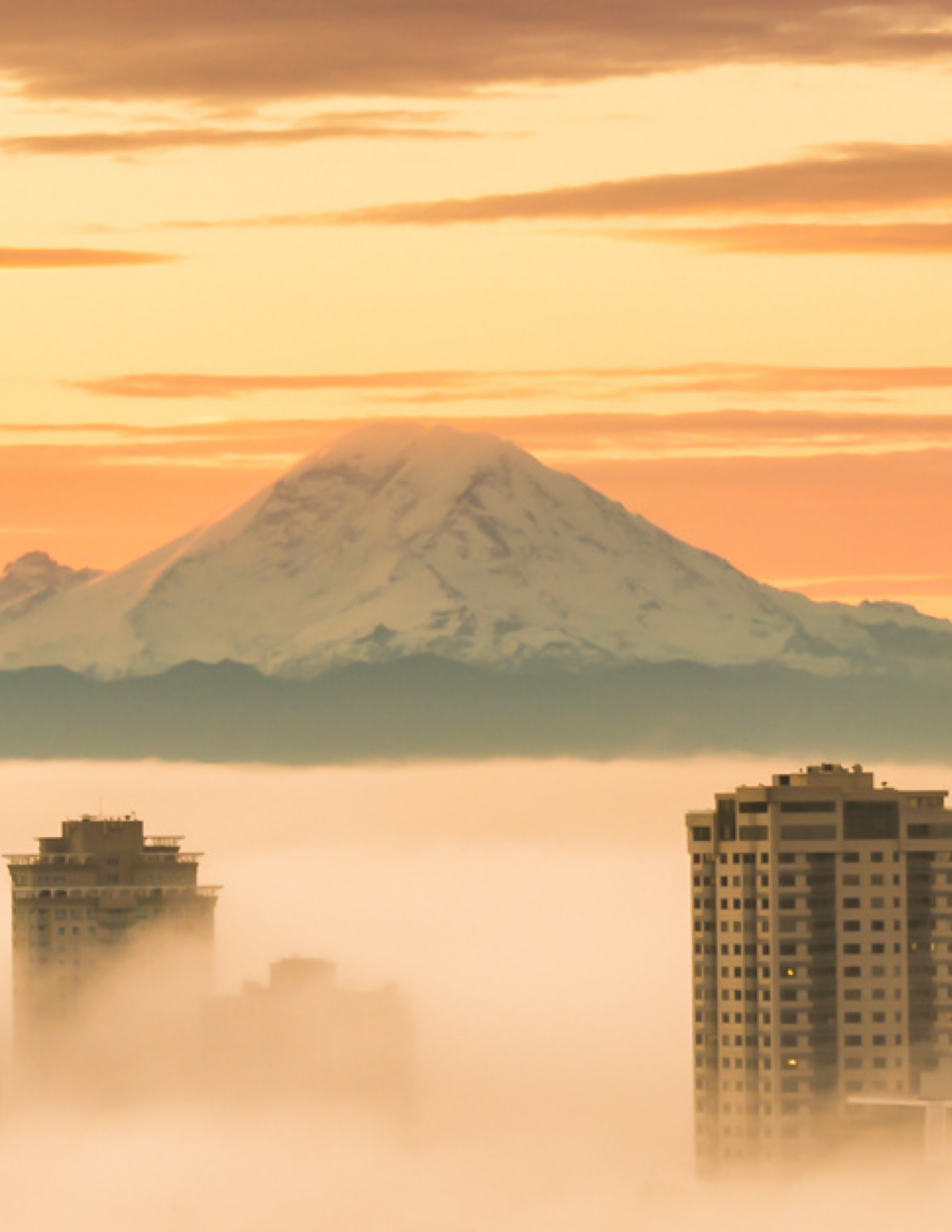 Safa Global Ventures' Culture of Service and Growth